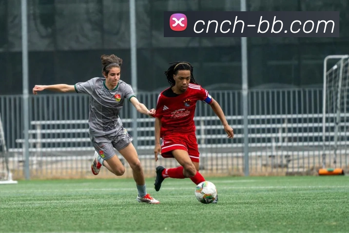 App Interface Preview